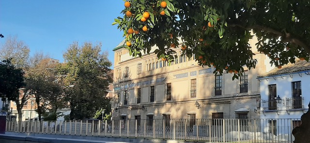 Edificio Iesa Naranjo