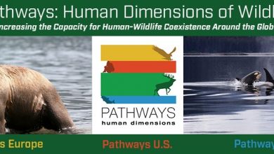 Pathways Conference 2024