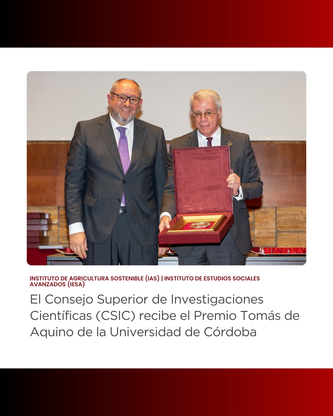 Premio Tomás De Aquino